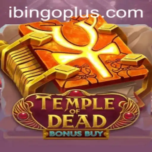 bingoplus Casino App